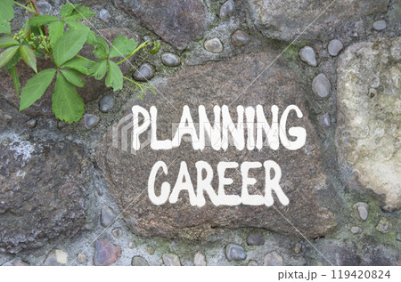 Planning Career symbol. Stone wall with words Planning Career. Beautiful stone background. Business and Planning Career concept. Copy space. 119420824