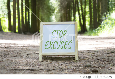 Stop excuses symbol. Concept word Stop excuses on white chalk background. Beautiful forest background. Business and Stop excuses concept. Copy space 119420829