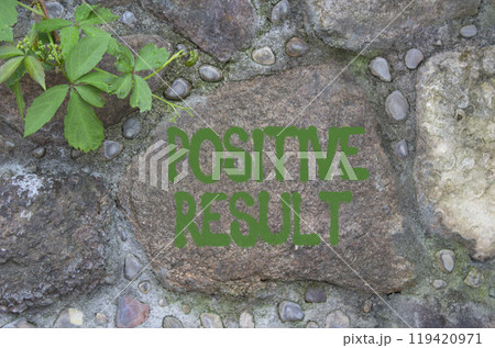 Positive results symbol. Concept words Positive results on stone wall. Beautiful stone background. Business and Positive results concept. Copy space. Positive results symbol. Concept words Positive results on stone wall. Beautiful stone background. Business and Positive results concept. Copy space. 119420971