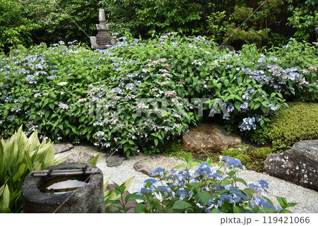 霊源院庭園「鶴鳴九皐」 甘茶と石塔 霊源院庭園「鶴鳴九皐」 甘茶と石塔 119421066
