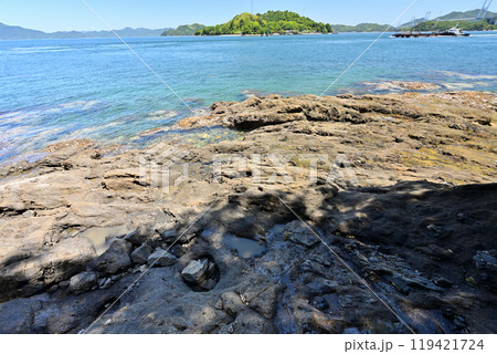 愛媛県今治市波止浜沖 村上水軍の来島城 愛媛県今治市波止浜沖 村上水軍の来島城 119421724