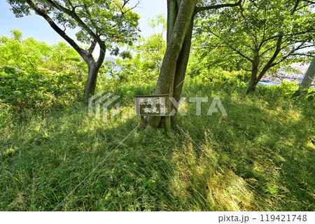 愛媛県今治市波止浜沖 村上水軍の来島城 愛媛県今治市波止浜沖 村上水軍の来島城 119421748