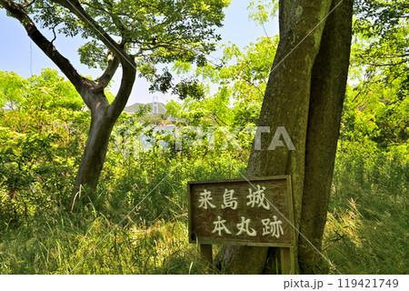 愛媛県今治市波止浜沖 村上水軍の来島城 愛媛県今治市波止浜沖 村上水軍の来島城 119421749