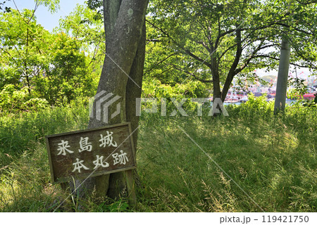 愛媛県今治市波止浜沖 村上水軍の来島城 愛媛県今治市波止浜沖 村上水軍の来島城 119421750