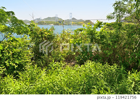 愛媛県今治市波止浜沖　村上水軍の来島城 119421756