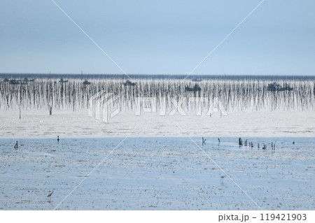 有明海風景 有明海風景 119421903