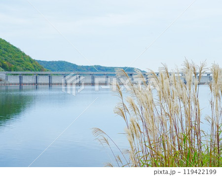 北海道の絶景 オタルナイ湖 朝里ダムとススキ 北海道の絶景 オタルナイ湖 朝里ダムとススキ 119422199