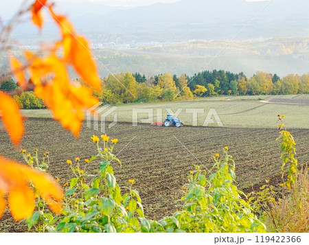 北海道の絶景  秋の就実の丘とトラクター風景 119422366