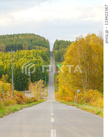 北海道の絶景  秋の就実の丘風景 119422367