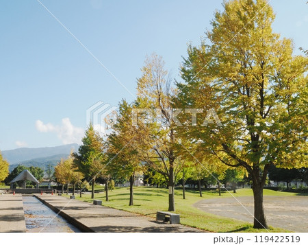 秋の青空と紅葉した木 119422519