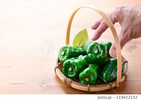 ピーマン 119422532