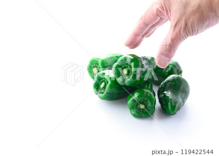 ピーマン(白背景) ピーマン(白背景) 119422544