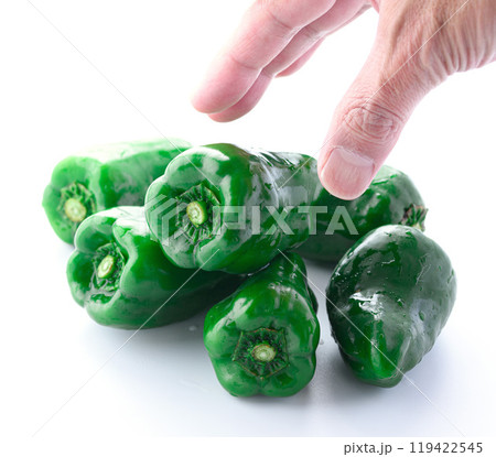 ピーマン(白背景) ピーマン(白背景) 119422545