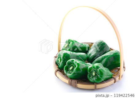 ピーマン（白背景） 119422546