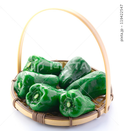 ピーマン（白背景） 119422547