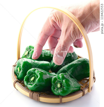 ピーマン（白背景） 119422553