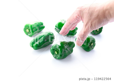 ピーマン（白背景） 119422564