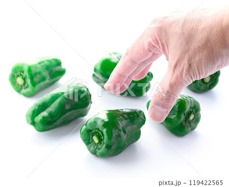 ピーマン（白背景） 119422565