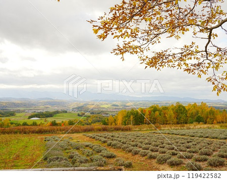 北海道の絶景 秋の富良野麓郷展望台 紅葉風景 北海道の絶景 秋の富良野麓郷展望台 紅葉風景 119422582