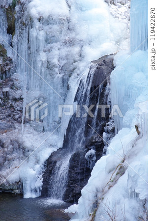 秩父・尾ノ内渓谷の氷柱 秩父・尾ノ内渓谷の氷柱 119422870