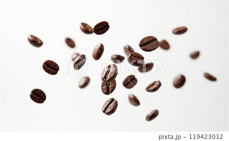 焙煎したてのコーヒー豆 焙煎したてのコーヒー豆 119423012