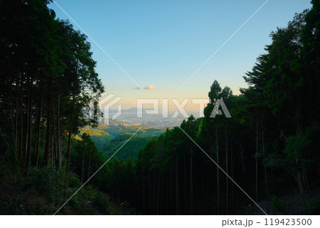 ポンポン山の登山道から見える景色 119423500