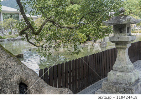 池のある風景 池のある風景 119424419