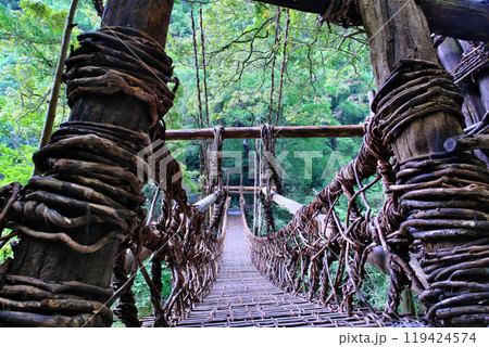 祖谷のかずら橋　徳島県 119424574