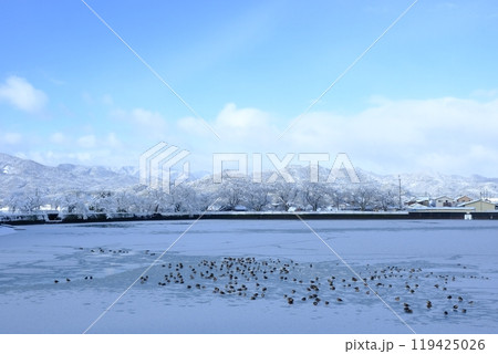 雪景色の平の沢池と水鳥 119425026