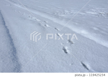 雪積もる農道と足跡 119425234