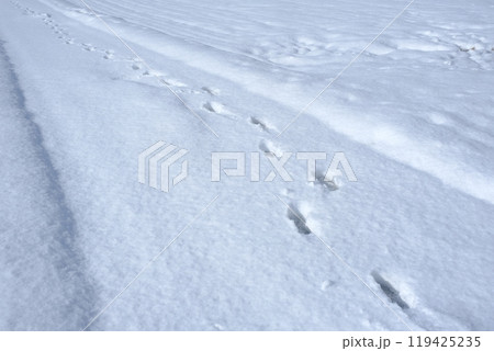 雪積もる農道と足跡 119425235