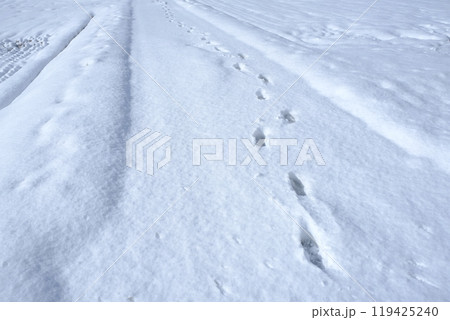 雪積もる農道と足跡 119425240