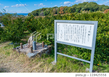 奈良県桜井市 神籬跡 奈良県桜井市 神籬跡 119425558