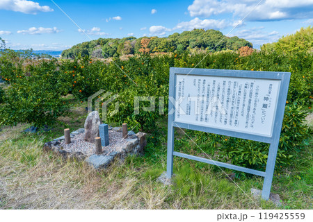 奈良県桜井市　神籬跡 119425559
