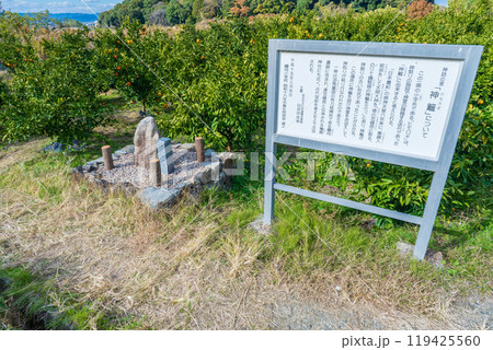 奈良県桜井市　神籬跡 119425560
