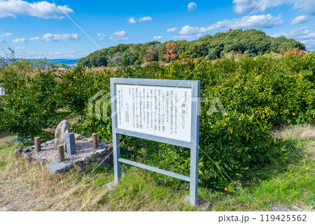奈良県桜井市　神籬跡 119425562