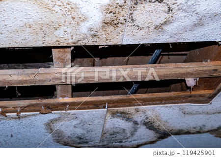 雨漏りで剥がれ落ちた天井のパネル 119425901