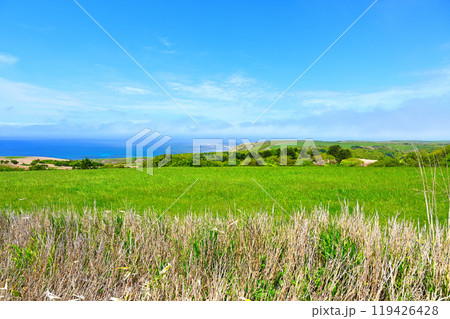 北海道　どこまでも広がる宗谷丘陵の草原とオホーツク海 119426428
