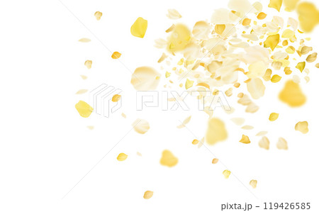 Transparent panoramic horizontal background.Amber flower spring template. 119426585