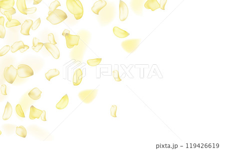 Transparent panoramic horizontal background.Amber flower spring template. 119426619