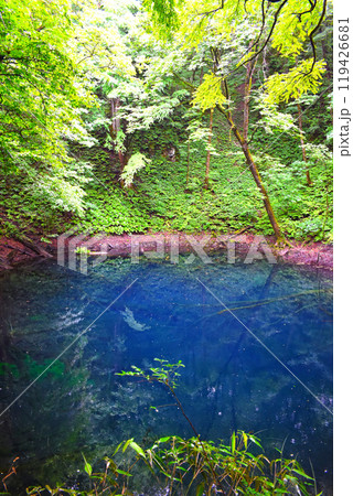 青森県 白神山地の青く透明な美しい青池 青森県 白神山地の青く透明な美しい青池 119426681