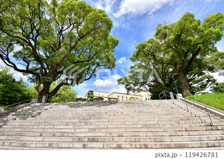 神戸大学六甲台正門付近　神戸市灘区六甲台町2-1 119426781