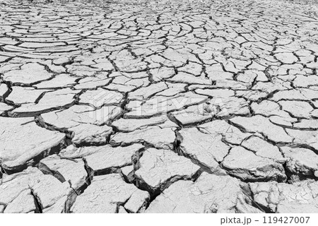 Monochromatic picture, dry lake bed with the natural texture of cracked clay in the perspective floor.   119427007