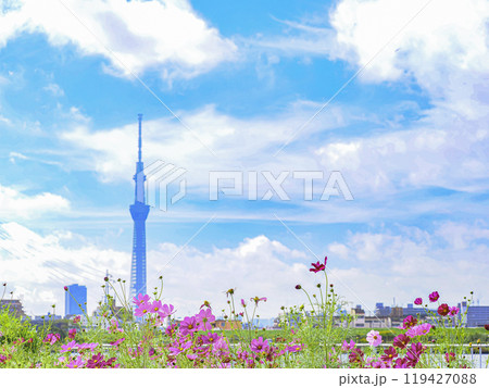 コスモスとスカイツリーの見える風景 119427088