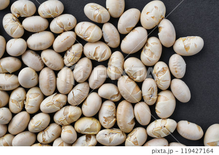 節分豆 節分豆 119427164
