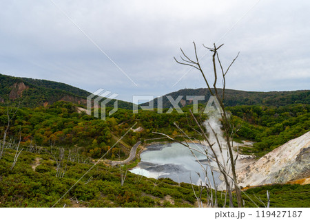 北海道　登別温泉　大湯沼の風景 119427187