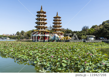 View of the lotus in bloom at the Dragon and Tiger Pagoda in Lotus Pond, Kaohsiung, Taiwan. 119427208