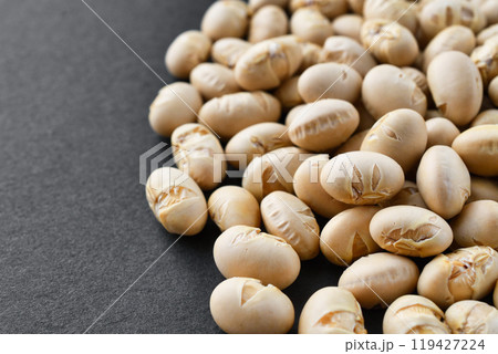 節分豆 節分豆 119427224