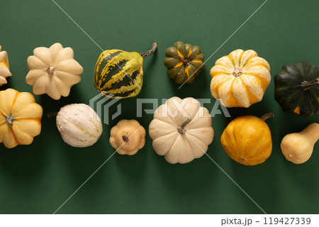 Autumn colorful different decorative small pumpkins on green background. Harvest day concept. Top view. Thanksgiving Day. Flat lay style. 119427339