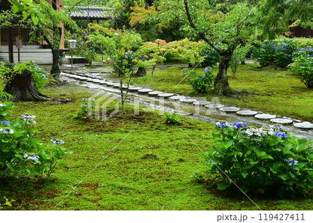 紫陽花のある苔庭 119427411
